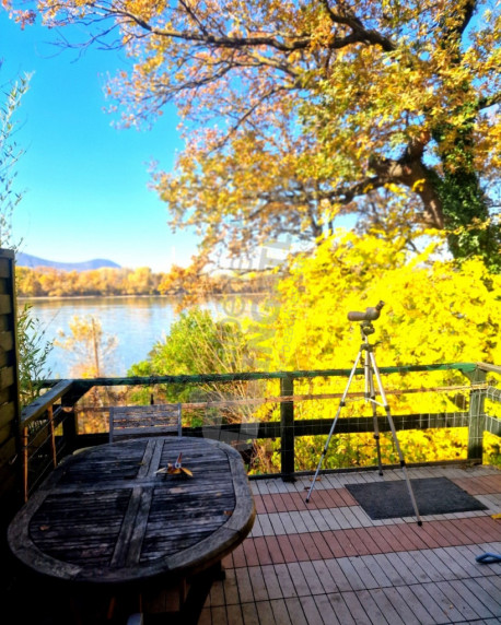 Népsziget út Népsziget út