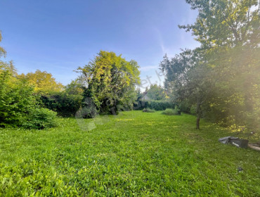 Fenyőerdő utca-budapest-ii-kerulet-fenyoerdo-utca_27.jpg