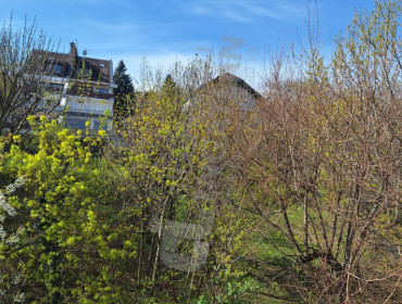 Városkúti út-budapest-xii-kerulet-varoskuti-ut_24.jpg
