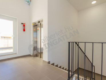 Vajdahunyad utca-budapest-viii-kerulet-vajdahunyad-utca_20.jpg