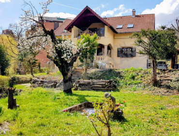 Mecenzéf utca-budapest-ii-kerulet-mecenzef-utca_4.jpg