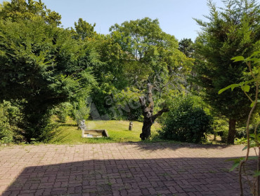 Mecenzéf utca-budapest-ii-kerulet-mecenzef-utca_8.jpg