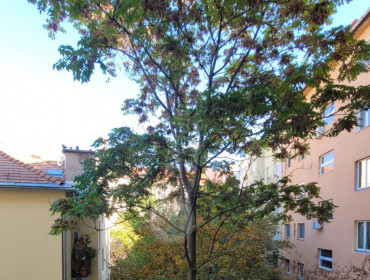 Közraktár utca-budapest-ix-kerulet-kozraktar-utca_14.jpg