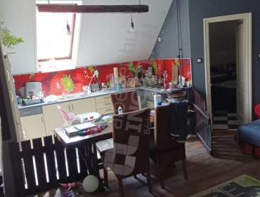 Templom utca-budapest-xxiii-kerulet-templom-utca_19.jpg