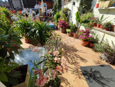 Rózsa utca-budapest-vi-kerulet-rozsa-utca_2.jpg