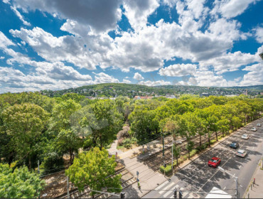 Szilágyi Erzsébet fasor-budapest-ii-kerulet-szilagyi-erzsebet-fasor_19.jpg