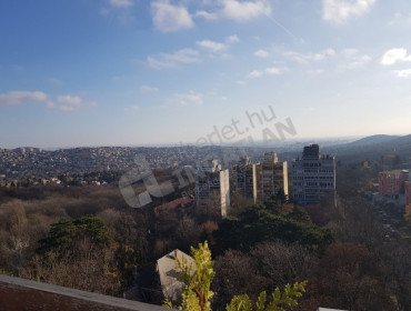 Budakeszi út-budapest-ii-kerulet-budakeszi-ut_19.jpg