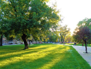 Szeszgyár utca-budapest-viii-kerulet-szeszgyar-utca_22.jpg