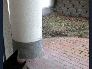 Balázs Béla utca-budapest-ix-kerulet-balazs-bela-utca_7.jpg