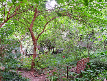 Visegrádi utca-budapest-xiii-kerulet-visegradi-utca_13.jpg