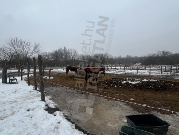 Nyír utca-budapest-xxiii-kerulet-nyir-utca_13.jpg