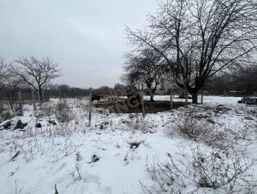 Nyír utca-budapest-xxiii-kerulet-nyir-utca_16.jpg