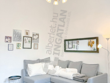 Nagy Diófa utca-budapest-vii-kerulet-nagy-diofa-utca_15.jpg