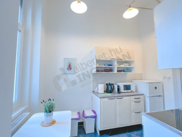 Nagy Diófa utca-budapest-vii-kerulet-nagy-diofa-utca_17.jpg