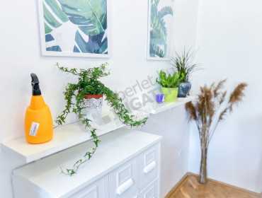 Nagy Diófa utca-budapest-vii-kerulet-nagy-diofa-utca_22.jpg