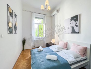 Nagy Diófa utca-budapest-vii-kerulet-nagy-diofa-utca_24.jpg