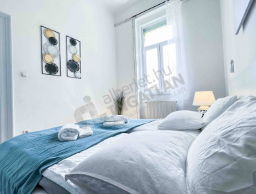 Nagy Diófa utca-budapest-vii-kerulet-nagy-diofa-utca_28.jpg