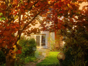 Kerényi Frigyes utca-budapest-ii-kerulet-kerenyi-frigyes-utca_29.jpg