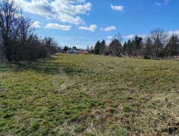 Zrinyi  utca-bicske-zrinyi-utca_2.jpg