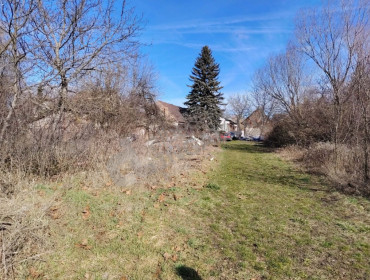 Zrinyi  utca-bicske-zrinyi-utca_6.jpg