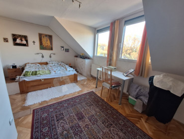 Zichy Péter  utca-budakeszi-zichy-peter-utca_7.jpg
